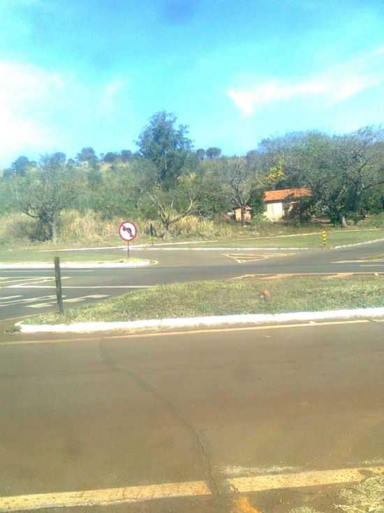SO SEBASTIO DA AMOREIRA-PR-TREVO DE ACESSO PRXIMO AO RIO CONGONHAS-FOTO:ANTNIO - SO SEBASTIO DA AMOREIRA - PR