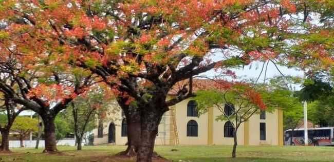 POR ANGELICA - SO VICENTE - PR
