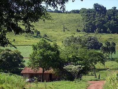 REA RURAL-FOTO:APARECIDO LOPES DINI  - SEDE PROGRESSO - PR