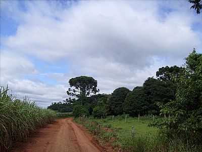 ESTRADA DE TERRA-FOTO:APARECIDO LOPES DINI  - SEDE PROGRESSO - PR