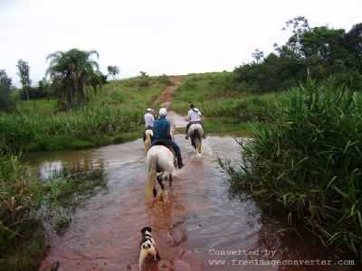 SERRA DOS DOURADOS, POR JEAN  - SERRA DOS DOURADOS - PR