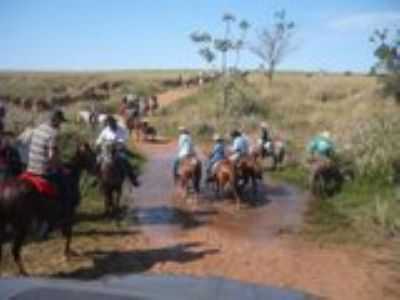 CAVALGADA, POR JOAO PAULO - SERRA DOS DOURADOS - PR