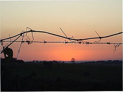 LMAGEM-FOTO:EDSON1974   - SOCAVO - PR