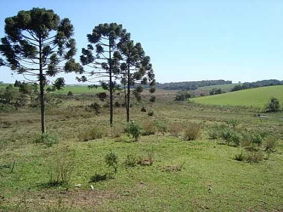 VISTA DA REGIO DE SOCAVO-FOTO:EDSON1974 - SOCAVO - PR