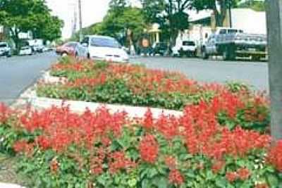 AVENIDA RUI BARBOSA-FOTO:BETOLUQUE  - TAPEJARA - PR