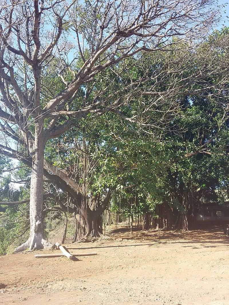 IMAGENS DO DISTRITO DE TEREZA BREDA, MUNICPIO DE BARBOSA FERRAZ/PR - TEREZA BREDA - PR