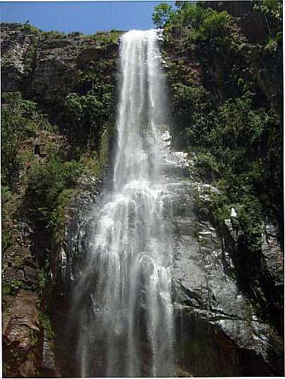 TERRA NOVA PR, POR JOS ROBERTO DOS SANTOS SIQUEIRA - TERRA NOVA - PR