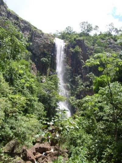 TERRA NOVA PR, POR JOS ROBERTO DOS SANTOS SIQUEIRA - TERRA NOVA - PR