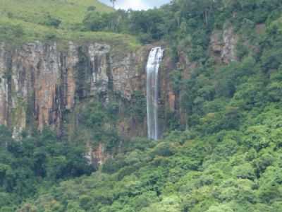 TERRA NOVA PR, POR JOS ROBERTO DOS SANTOS SIQUEIRA - TERRA NOVA - PR