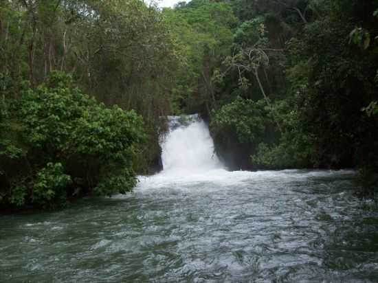 CACHOERA DO SALTO, POR MAURICIO S DE SOUZA - TERRA NOVA - PR