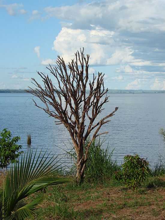 MARGEM DO RIO PARANAPANEMA EM TERRA RICA-PR-FOTO:ISA LANZIANI - TERRA RICA - PR