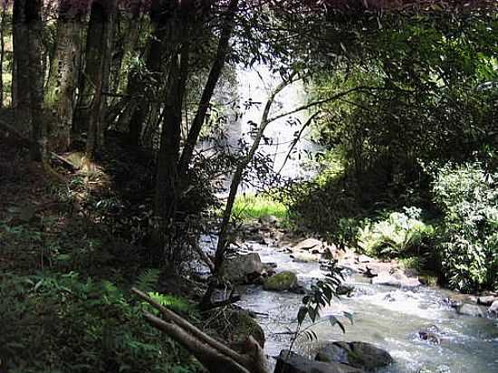 SALTO SANTA ROSA FOTO
LUCIANO R OLIVEIRA - TIBAGI - PR