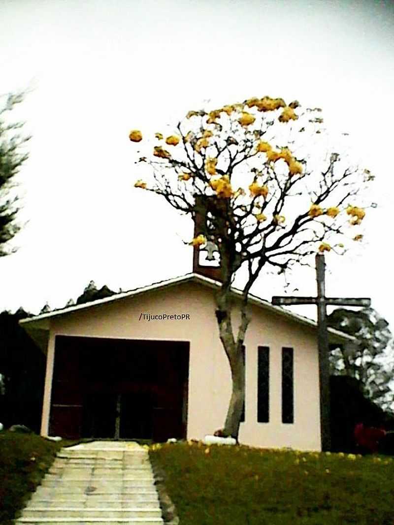 IMAGENS DO DISTRITO DE TIJUCO PRETO, MUNICPIO DE PRUDENTPOLIS/PR - TIJUCO PRETO - PR