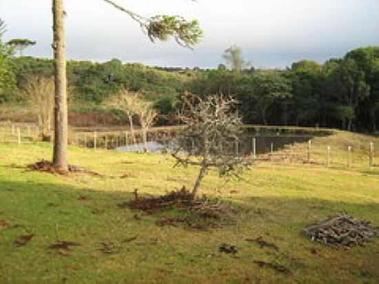 REA RURAL DE TIMBU VELHO-FOTO:CATOSSI - TIMBU VELHO - PR