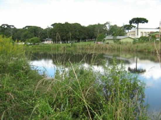 LAGO EM TIMBU VELHO-FOTO:CATOSSI - TIMBU VELHO - PR