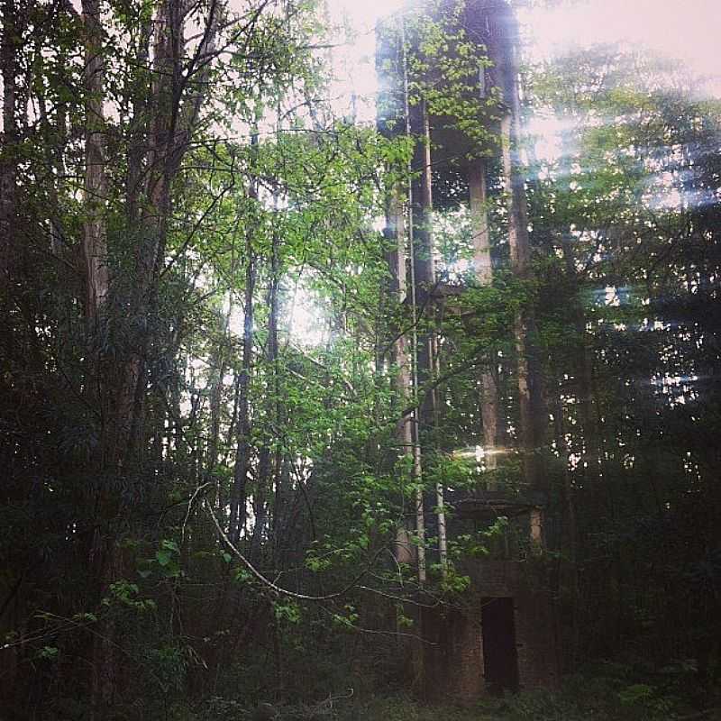 IMAGENS DA COLNIA TINDIQUERA, MUNICPIO DE ARAUCRIA/PR - TINDIQUERA - PR