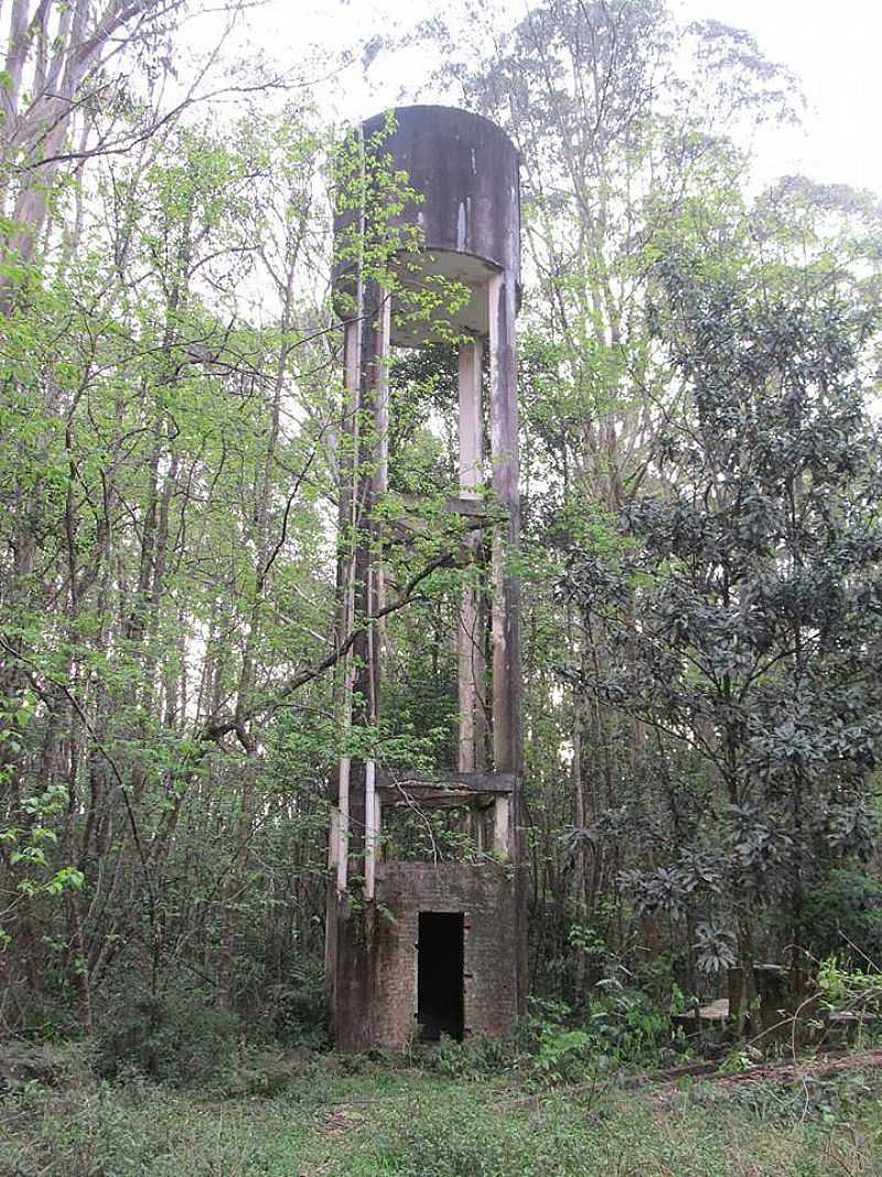 IMAGENS DA COLNIA TINDIQUERA, MUNICPIO DE ARAUCRIA/PR - TINDIQUERA - PR