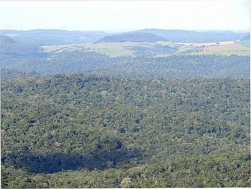 IMAGENS DA CIDADE DE TRS BARRAS DO PARAN - PR - TRS BARRAS DO PARAN - PR