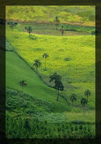 LAVOURAS-FOTO:J.DIAS - TRS BICOS - PR