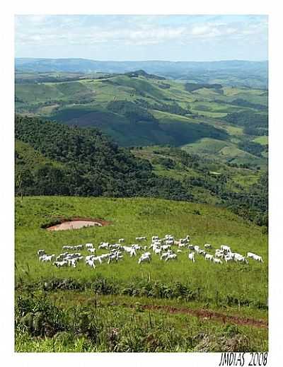 PASTAGEM-FOTO:J.DIAS  - TRS BICOS - PR