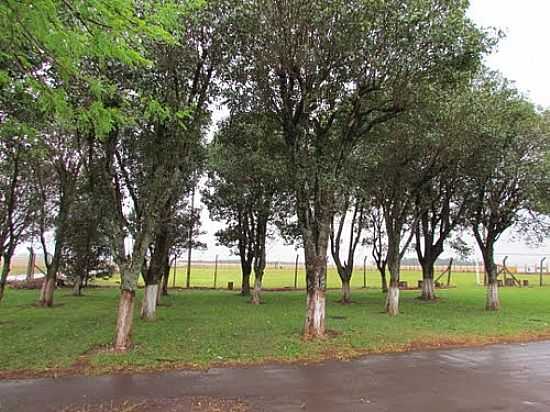 CAMPO DE FUTEBOL NO CLUBE REAL EM TRS BOCAS-FOTO:RICARDO MERCADANTE - TRS BOCAS - PR