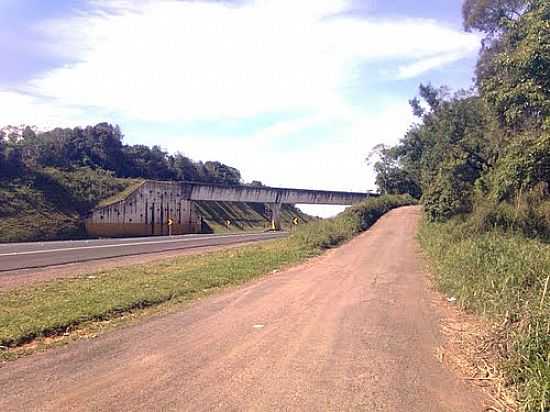 VIADUTO PRXIMO  TRONCO-FOTO:RENWYSOCKI - TRONCO - PR