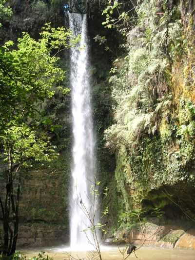 CACHOEIRA CRISTIANO RICKLI, TURVO-PR, POR GILMAR AMARAL - TURVO - PR