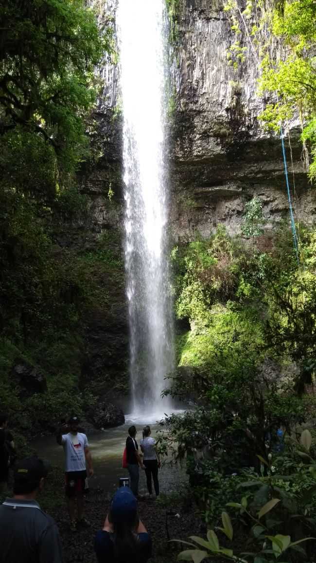 POR JOCIELI - TURVO - PR