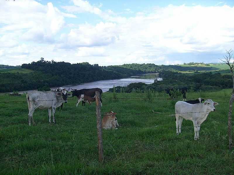 IMAGENS DA LOCALIDADE DE UBANA - PR DISTRITO DE SO JOO DO IVA - PR - UBAUNA - PR