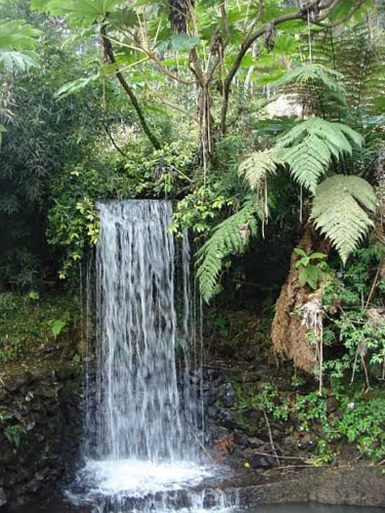 CACHOEIRA NA ESTNCIA BAYER EM UNIO DA VITRIA-PR-FOTO:SOFIA KAWKA DO PRADO - UNIO DA VITRIA - PR