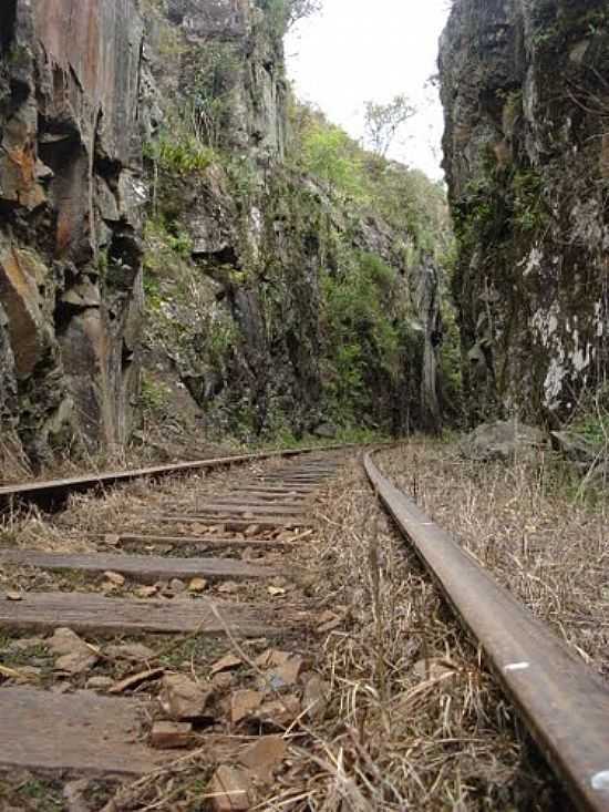 FERROVIA EM UNIO DA VITRIA-PR-FOTO:SOFIA KAWKA DO PRADO - UNIO DA VITRIA - PR