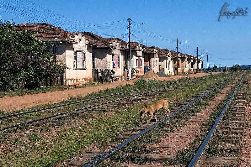 VENTANIA-PR-VILA DOS FERROVIRIOS-FOTO:AUTOFOCUS20 - VENTANIA - PR