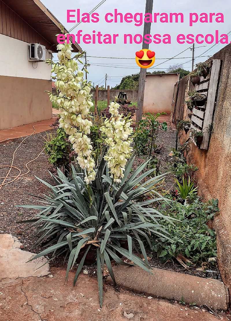 IMAGENS DA VILA GANDHI, MUNICPIO DE PRIMEIRO DE MAIO/PR - VILA GANDHI - PR