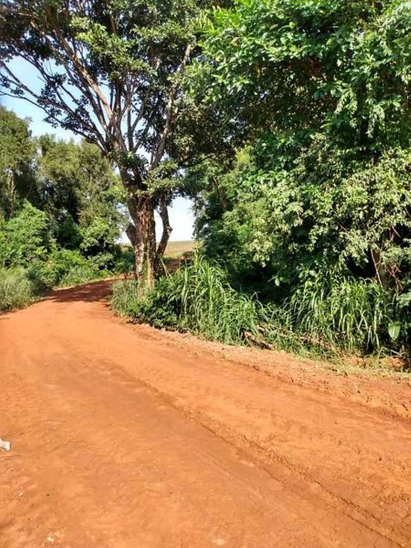 IMAGENS DE VILA PARAISO, MUNICPIO DE PALOTINA/PR - VILA PARASO - PR