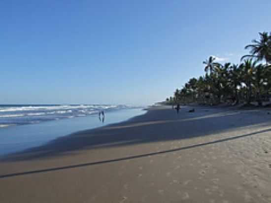 PRAIA DA ITACAREZINHO EM ITACAR-FOTO:JOSE GUSTAVO A. MURT - ITACAR - BA