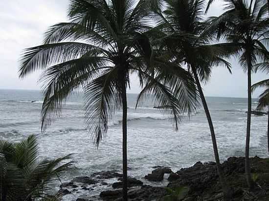 PRAIA DA TIRIRICA EM ITACAR-FOTO:JARBAS ARAUJO - ITACAR - BA