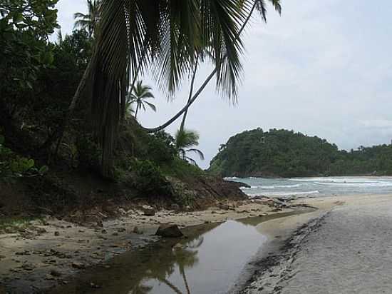 PRAINHA EM ITACAR-FOTO:JARBAS ARAUJO - ITACAR - BA