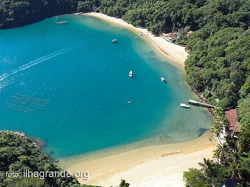 ABRAO - RJ - ABRAO - RJ