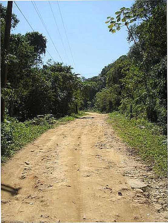 ESTRADA DE ABRAO PARA DOIS RIOS-FOTO:MARCELO PARISE PETAZ - ABRAO - RJ