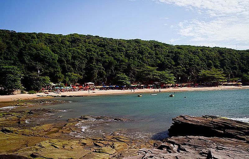 PRAIA DA
TARTARUGA
RVORES E BARRACAS OFERECEM BOAS SOMBRAS
FOTO: EDITORIA BZIOS ON LINE / ANNA FISCHER
 - BZIOS - RJ