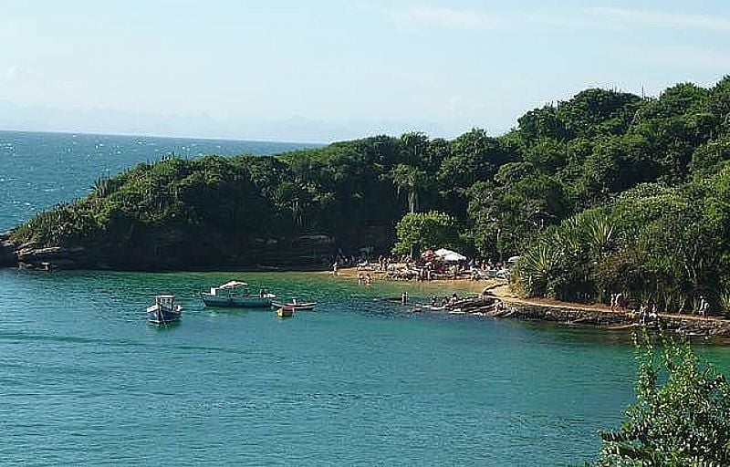 
AZEDA E AZEDINHA
NATUREZA EXUBERANTE TORNA PAISAGEM IRRETOCVEL
FOTO: EDITORIA BUZIOS ONLINE - BZIOS - RJ