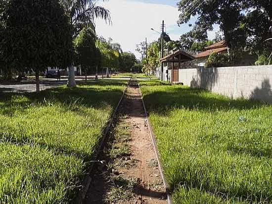 PITORESCA LINHA FRREA EM BALTAZAR-FOTO:PIMPOLHO37 - BALTAZAR - RJ