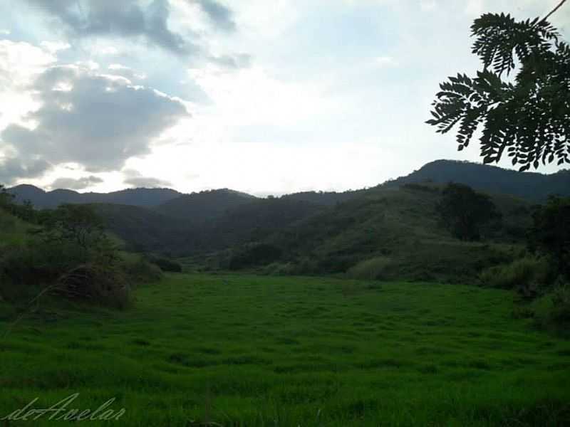 PRXIMO A FAZENDA DA EMBRAPA, EM BARO DE JUPARAN. - BARO DE JUPARANA - RJ