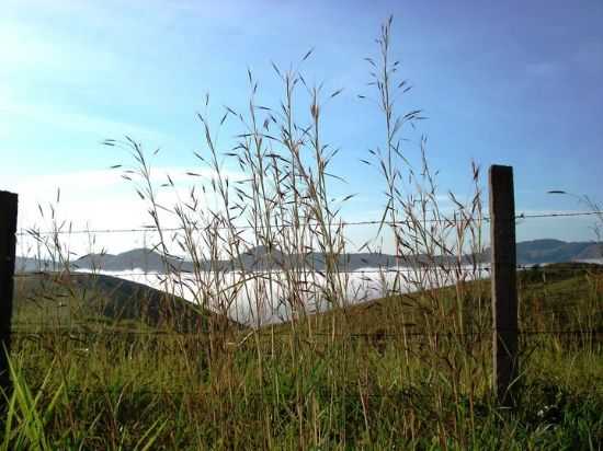 AMANHECER COM NEVOEIRO EM BARO DE JUPARAN-FOTO:MERCIA SILVA - BARO DE JUPARANA - RJ