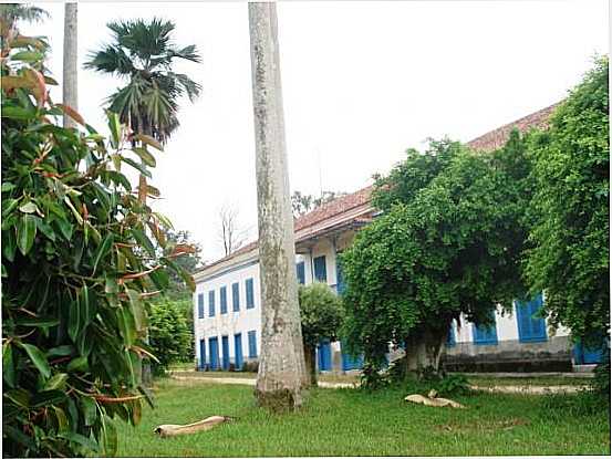 FAZENDA SANTA MNICA-JUPARAN, POR MERCIA SILVA - BARO DE JUPARANA - RJ