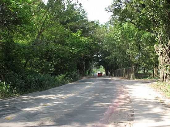 ESTRADA DE BELFORD ROXO-FOTO:FLAVIOJMS - BELFORD ROXO - RJ