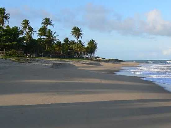 COQUEIROS NA PRAIA DE ITACIMIRIM-FOTO:POLONIUX - ITACIMIRIM - BA