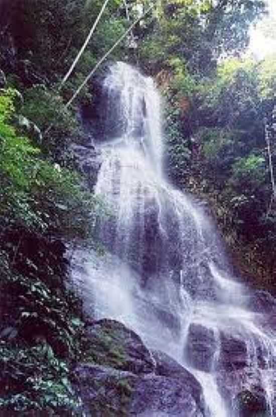 CACHOEIRA DO RIO MACACU EM CACHOEIRAS DE MACACU-FOTO:SOSRIOSDOBRASIL. - CACHOEIRAS DE MACACU - RJ