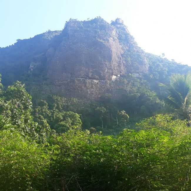 POR JOO ANTNIO ROBAINA - CAMBUCI - RJ