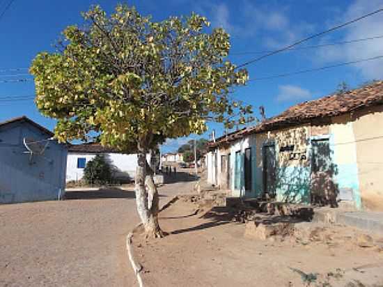 RUA E CASARIO DE ITAET-BA-FOTO:OFICINASCARTONERAS. - ITAET - BA